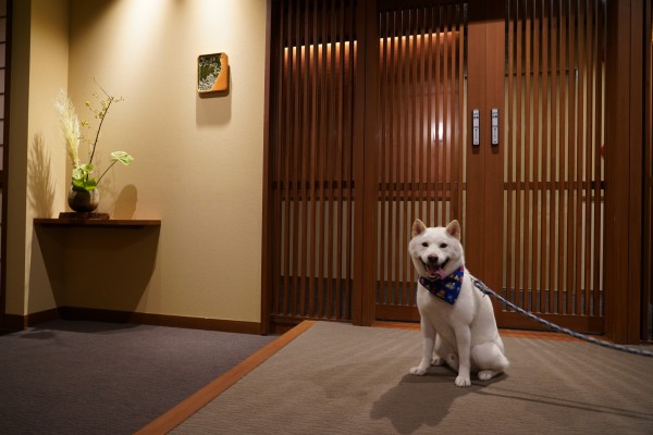 館内イメージ